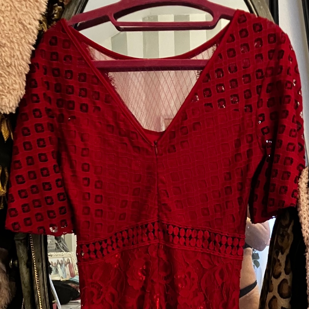 Cranberry Lady Black Tie cocktail dress